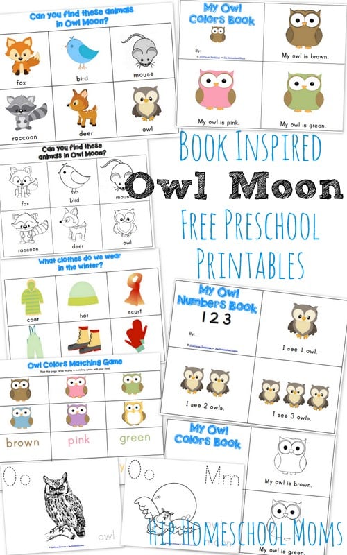Owl Moon {Book-Inspired Preschool Printables} from Wildflower Ramblings