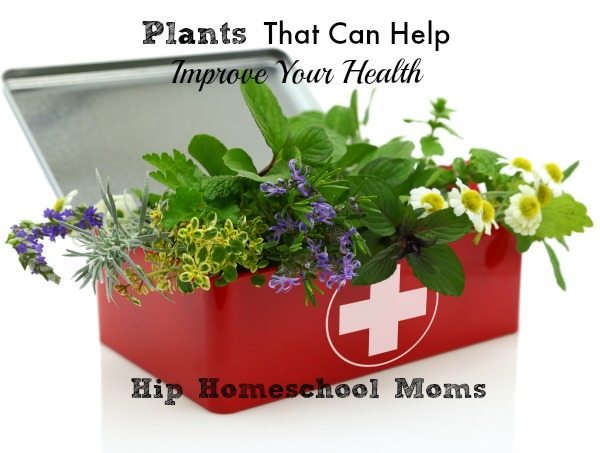 HHM Plants That Help Health